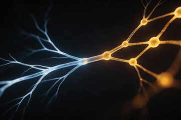 Microscopy-style image showing a transition from blue stress signals to amber recovery signals on a near-black background, illustrating how heart rate variability drops and then rises after cold immersion.