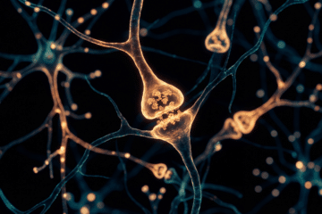 Abstract scientific micrograph of brain-like neural networks with warm amber highlights on deep black-blue, illustrating sauna-linked brain health mechanisms